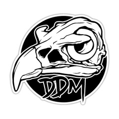 DDM SOUNDSYSTEM