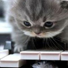 Happy song النسخة الشعبي