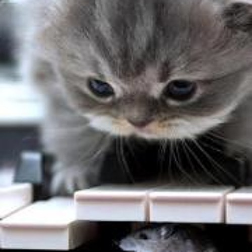 Happy song النسخة الشعبي