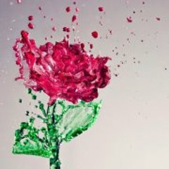 عائلتي الجميلة