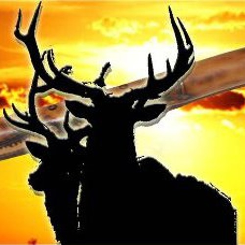 Thundering Elk’s avatar