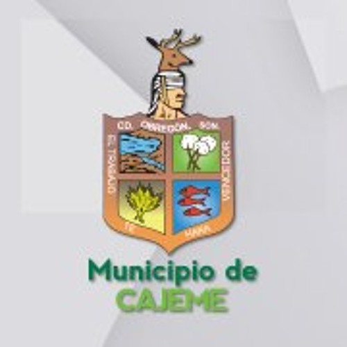 AytoCajeme’s avatar