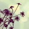 user21871841