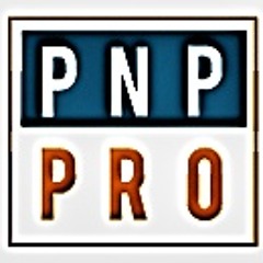 PNP-PRO LLC