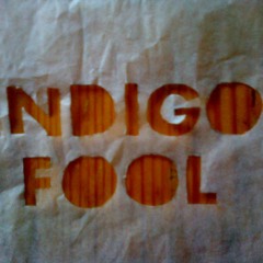 Indigo Fool