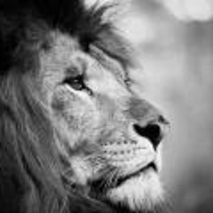 Adrian Marius Pirvuica