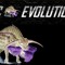 CC EVOLUTION