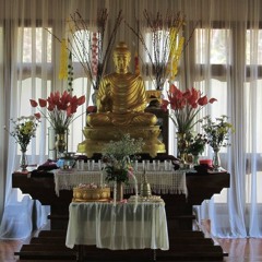 Live Dhamma