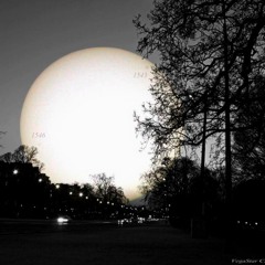 Coyotes and Jackalopes