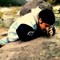 Crnx