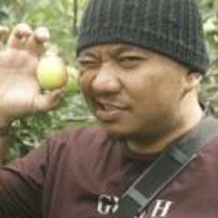 Rhoma Irama - Mirasantika