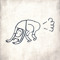 wombat_izmailov
