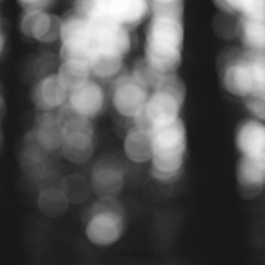 cloudeater