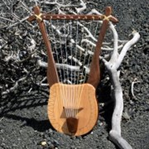 Jrv Luthier’s avatar