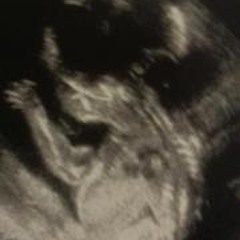 Jodie N Bump Vaughan