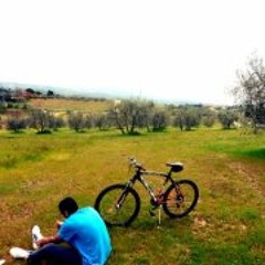 Youssef Sarhan 1