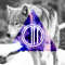 Dark Matter Productions