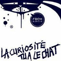 la curiosité tua le chat