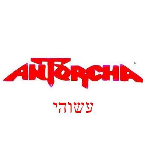 antorcha-official’s avatar