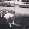 milkman42