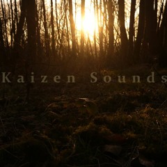 kaizen sounds