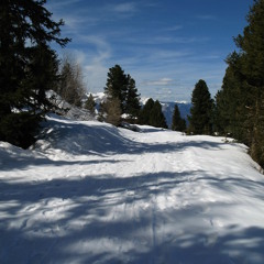 Mikkim