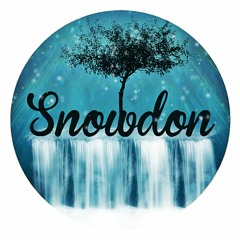 Simon says get the fuck up. (Snowdon edit)