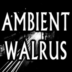 AMBIENT WALRUS