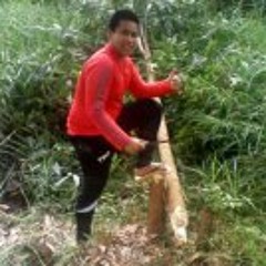 Sumazau