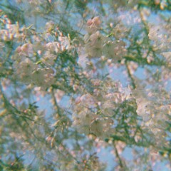 Authors of Electricity