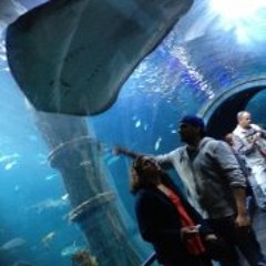 Deelan 'Rammers' Ramjee