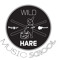 Wild Hare Music School