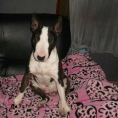 Davina Jérémy Lelong