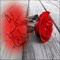 emad95386