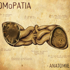 Omopatia