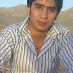 Syed Zeeshan Haider 1