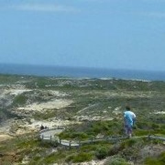 Pieter Van Der Straaten