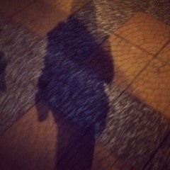 Lisa Johansson-Gator