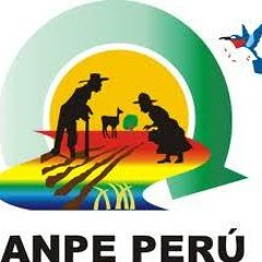 Anpe Perú