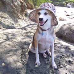 Blu & Exile - cent from heaven