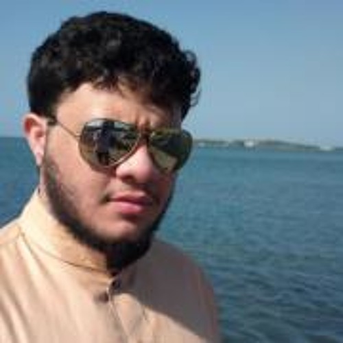 Mohammad Mardeney’s avatar