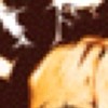 canoncigar