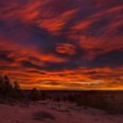 Louis-Regis Marc Gerald