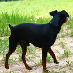 Camila Denis Camila Denis