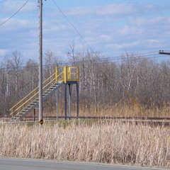 sensoryethnographylab