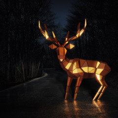 Banu Hapeloğlu Kutlu