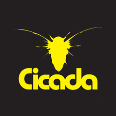 Cicada Music