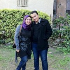 Alaa Ma.Ahmed Elsadany