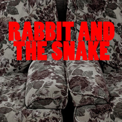 Rabbit And The Snake