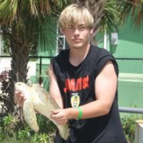 Stream Bryce Collins 3 music Listen to songs, albums, playlists for